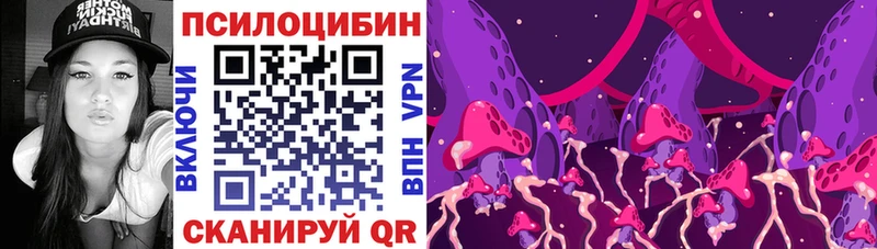 где найти наркотики Ангарск Галлюциногенные грибы Psilocybine cubensis
